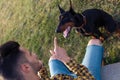 Handsome young man playing with his dog in the park. Royalty Free Stock Photo