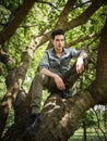 Handsome young man sitting on tree branches Royalty Free Stock Photo