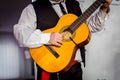 Handsome young men playing guitar Royalty Free Stock Photo