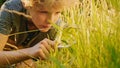 Handsome Young Naturalist Scientist Explores Plant Life and Insect Life with Magnifying Glass. Sma Royalty Free Stock Photo