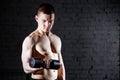 Handsome young shirtless man with muscular body doing exercises using dumbbell against a brick wall. Royalty Free Stock Photo