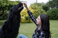 Handsome young woman trains her hovawart dog on the backyard lawn. Royalty Free Stock Photo