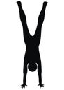 Handstand, yoga Royalty Free Stock Photo