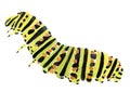 Handwork watercolor illustration of a caterpillar Royalty Free Stock Photo