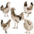 Set of farm birds. Watercolor illustration in white background. Royalty Free Stock Photo