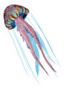 Handwork watercolor illustration of a jellyfish
