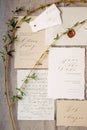 Handwriting letter, love message. Wedding vows, calligraphy cards and spring twigs, flat lay. Valentine`s day inspiration. Declar