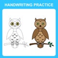 Handwriting practice. Draw lines and color the owl. Educational kids game, coloring sheet, printable worksheet. Vector illustratio