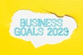 Writing displaying text Business Goals 2023. Conceptual photo Advanced Capabilities Timely Expectations Goals