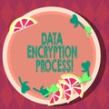 Handwriting text Data Encryption Process. Concept meaning The method of translating data into another form Cutouts of Sliced Lime Royalty Free Stock Photo
