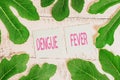 Handwriting text Dengue Fever. Concept meaning infectious disease caused by a flavivirus or aedes mosquitoes.