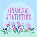 Handwriting text Financial Statistics. Business idea Comprehensive Set of Stock and Flow Data of a company