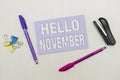 Hand writing sign Hello November. Business overview greeting used when welcoming the eleventh month of the year Flashy