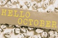 Handwriting text Hello October. Word Written on Last Quarter Tenth Month 30days Season Greeting