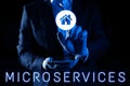 Handwriting text Microservices. Internet Concept Software development technique Building single function module Royalty Free Stock Photo