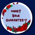 Handwriting text Money Back Guarantee. Concept meaning refund will be made if customer is not satisfied Hand Drawn Lamb Royalty Free Stock Photo