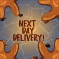 Handwriting text Next Day Delivery. Concept meaning service allows you have goods delivered day after order Starfish