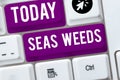 Sign displaying Sea Weeds. Business overview Large algae growing in the sea or ocean Marine plants flora