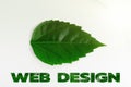 Handwriting text Web Design. Business concept website creation which includes layout, content, and graphics Nature