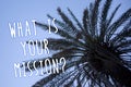 Handwriting text What Is Your Mission Question. Concept meaning Positive goal focusing on achieving success Tall palm tree blue sk