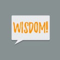 Handwriting text Wisdom. Concept meaning the ability to use your knowledge and experience to make decisions Blank