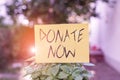 Handwriting text writing Donate Now. Concept meaning to give something like money or goods to a charity or any cause Royalty Free Stock Photo