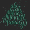 Handwritten Brush Letters. ABC. Modern Calligraphy. Hand Lettering Vector Alphabet