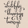 Handwritten brush style calligraphy cursive font