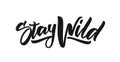 Handwritten calligraphic brush lettering of Stay Wild