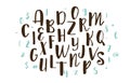 Handwritten calligraphy font. Vector alphabet. Hand drawn letters Royalty Free Stock Photo