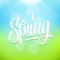 Handwritten inscription Spring on blurred background. Creative calligraphy for your seasonal design.