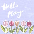 Handwritten modern lettering Hello May on wooden imitation textured background. Royalty Free Stock Photo