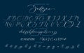 Handwritten script cursive calligraphy playful font Sadlyne vector alphabet set