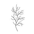 A handwritten set of simple twigs on a white background. A set of simple doodle twigs