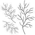 A handwritten set of simple twigs on a white background. A set of simple doodle twigs