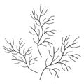 A handwritten set of simple twigs on a white background. A set of simple doodle twigs