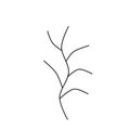 A handwritten set of simple twigs on a white background. A set of simple doodle twigs