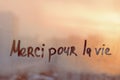 Handwritten text Merci pour la vie in French is Thanks for life in english written finger on orange sunset wet window