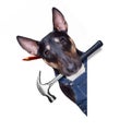 Handyman dog with tool in mouth