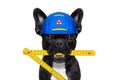 Handyman dog Royalty Free Stock Photo