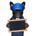 Handyman dog Royalty Free Stock Photo