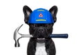 Handyman hammer dog