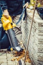 Handyman removes fallen dead leaf
