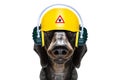 Handyman hammer dog with helmet