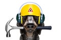 Handyman hammer dog with helmet