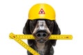 Handyman hammer dog with helmet