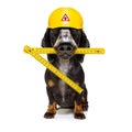 Handyman hammer dog with helmet