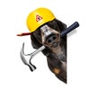 Handyman worker hammer dog with helmet