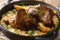 Haneeth is a slow roasted lamb dish from Yemen served on a plate of rice closeup. horizontal