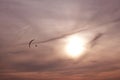 Hang glider agaist dramatic sky at sunset Royalty Free Stock Photo